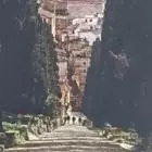 Bonni